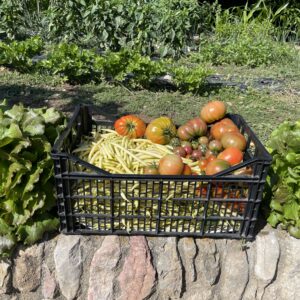 PRODUCTES DE LA FINCA